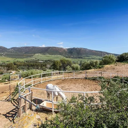 Apartmán Paloma